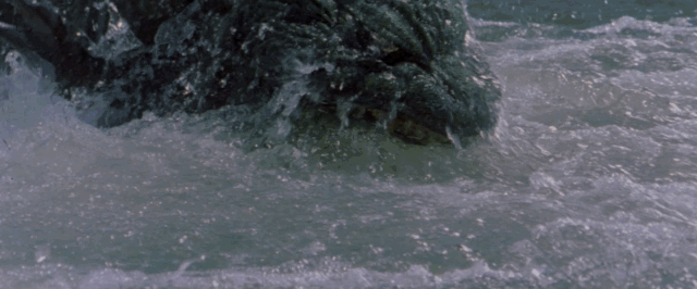 Godzilla arises from the ocean, the camera focuses for a time on the huge sharp dorsal plates